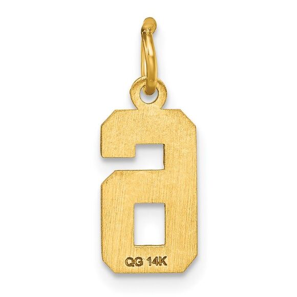 14k Yellow Gold, Varsity Collection, Small D/C Pendant Number 6 - Picture 3 of 5